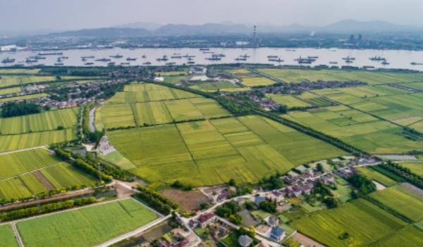 国办：鼓励有条件的地区开展新能源汽车和绿色智能家电下乡