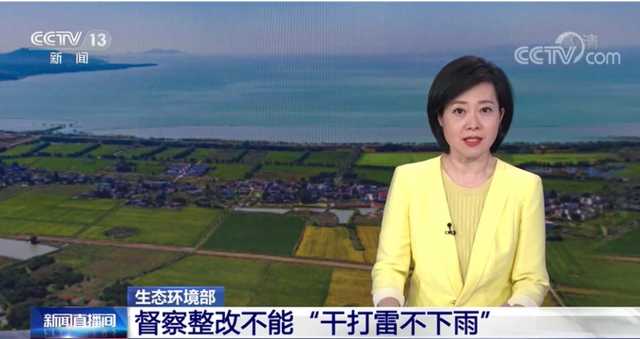 视频丨生态环境部 督察整改不能“干打雷