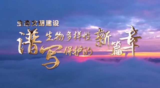 贵州COP15大会主题宣传片