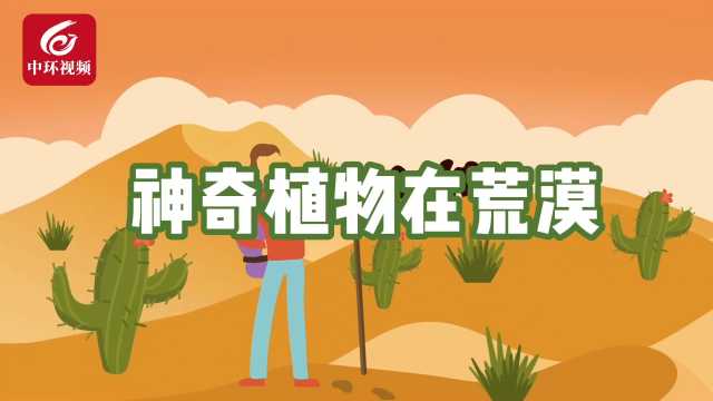 世界防治荒漠化和干旱日 | 神奇植物在这