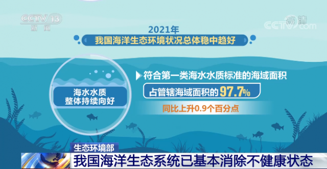 视频丨生态环境部 我国海洋生态系统已基