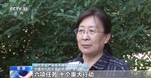 六项任务、十大行动！这份方案将推进农