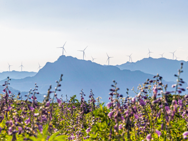 低碳技术发展和支撑能力短板明显？专家