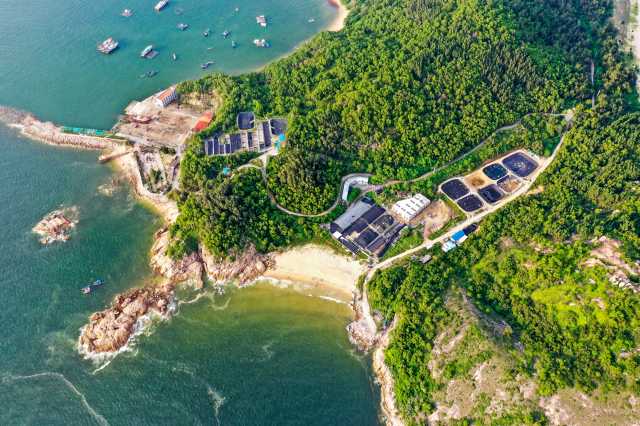 看，“最美”的背影