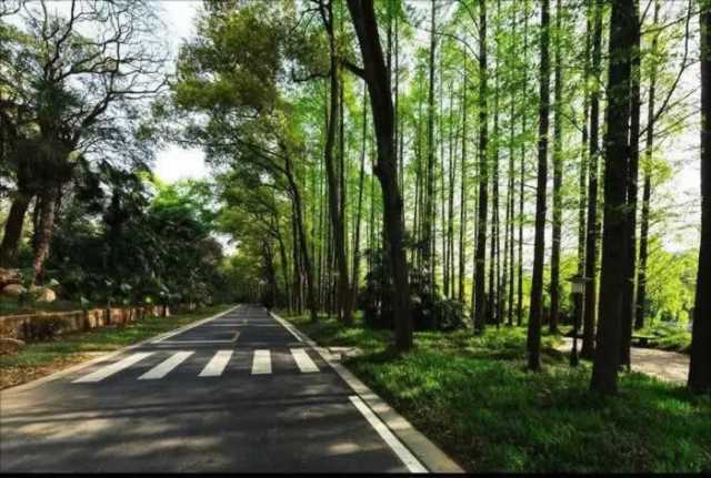 黄河攻坚战行动方案 • 专家解读①丨坚