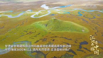 江河奔腾看中国·黄河行｜甘肃玛曲：构