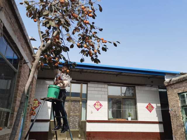 机器代劳、智能耕地：一户农民眼中的十年乡村之变