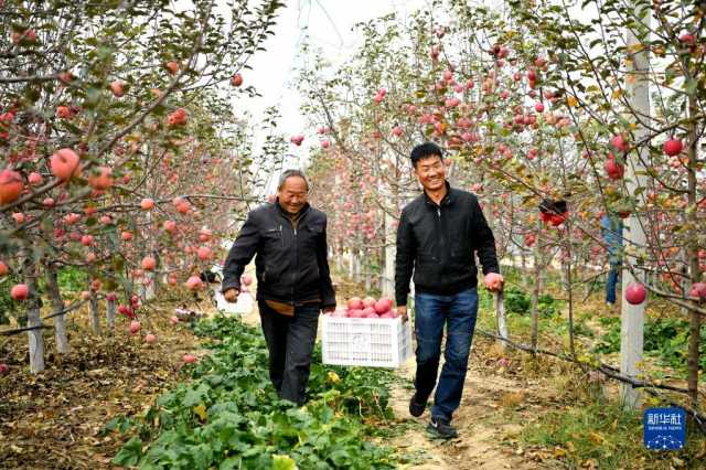 走进陕西延安南沟村