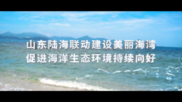 走近美丽海湾 | 山东：陆海联动建设美丽