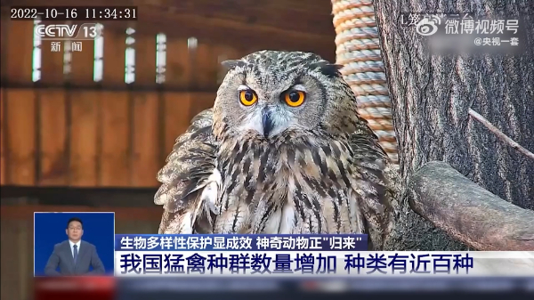 我国生物多样性保护显成效，治理新格局