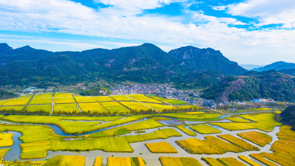 东阳让绿色成为最动人的色彩