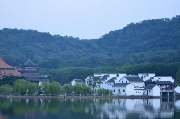 如何保护“地球之肾”？我国这样做
