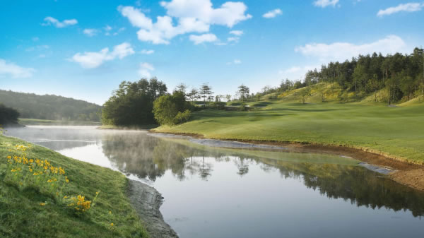 近92亿元！中央财政为加强我国湿地保护