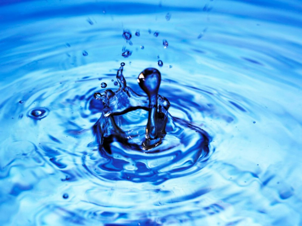 “集中+分散”方式互补，看砀山县治理农