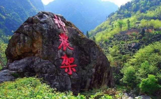 湖北神农架：“村电共建”宜居宜业和美