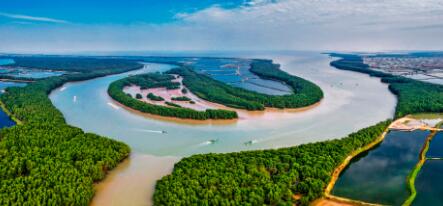 “红树林之城”发展海洋碳汇经济，广东湛江推进海洋资源产业化