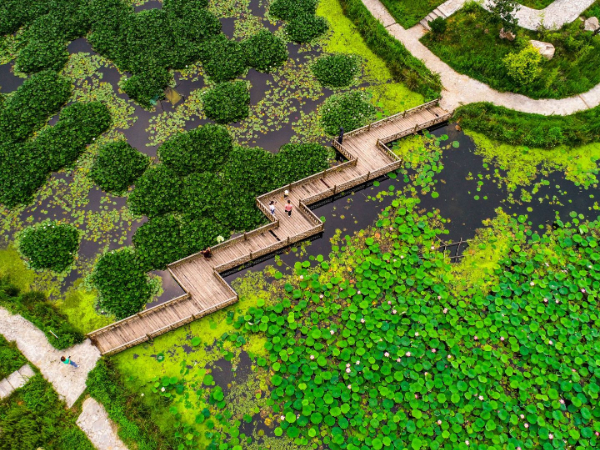 隆化县绘出乡村振兴“绿色答卷”