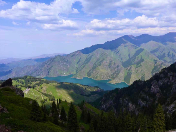 新疆退耕还林碳储量20年间扩大101倍