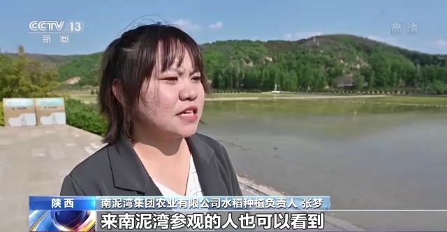 盐碱地变“良田” 全国“海水稻”大规模插秧陆续展开 盐碱地变“良田” 全国“海水稻”大规模插秧陆续展开