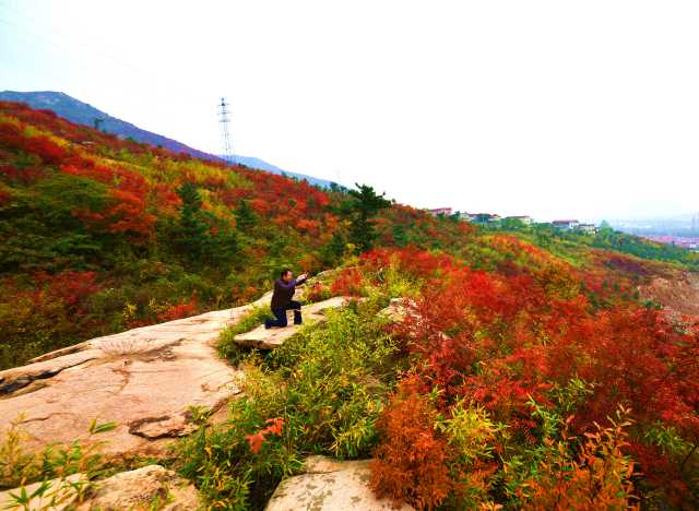 “有事好商量”解决民生问题！江苏连云区“敞开大门纳民意”