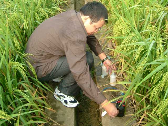 系列解读②水稻丰产与甲烷减排，如何“鱼”与“熊掌”兼得？