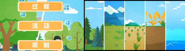 碳源、碳汇是什么？碳又是怎么循环的呢？