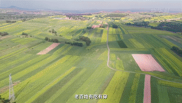 江河奔腾看中国·黄河行丨山西右玉:“不毛之地”的生态奇迹 江河奔腾看中国·黄河行丨山西右玉:“不毛之地”的生态奇迹