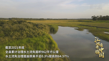 江河奔腾看中国·黄河行丨山西右玉:“不毛之地”的生态奇迹 江河奔腾看中国·黄河行丨山西右玉:“不毛之地”的生态奇迹