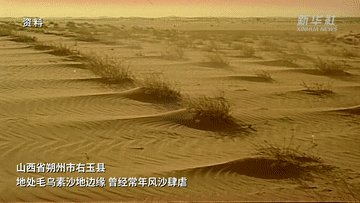 江河奔腾看中国·黄河行丨山西右玉:“不毛之地”的生态奇迹 江河奔腾看中国·黄河行丨山西右玉:“不毛之地”的生态奇迹