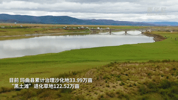 江河奔腾看中国·黄河行|甘肃玛曲:构筑生态屏障 涵养黄河水源 江河奔腾看中国·黄河行|甘肃玛曲:构筑生态屏障 涵养黄河水源