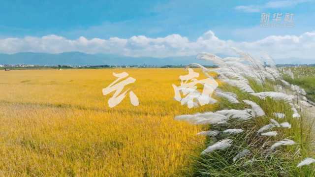 “欢度国庆·美丽中国”主题报道丨假期里邂逅“绿水青山”