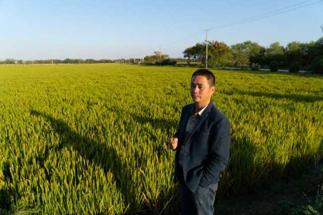 新华全媒+丨长江畔秋收见闻：稻田里藏了多少“黑科技”