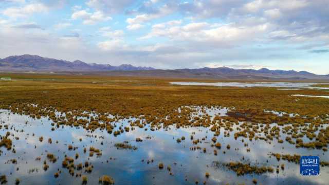 瞰黄河上游湿地秋韵