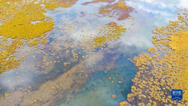 瞰黄河上游湿地秋韵