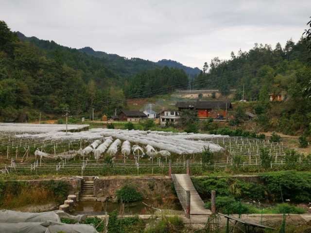 青海牧区：机械作业收割忙 牛羊过冬有保障