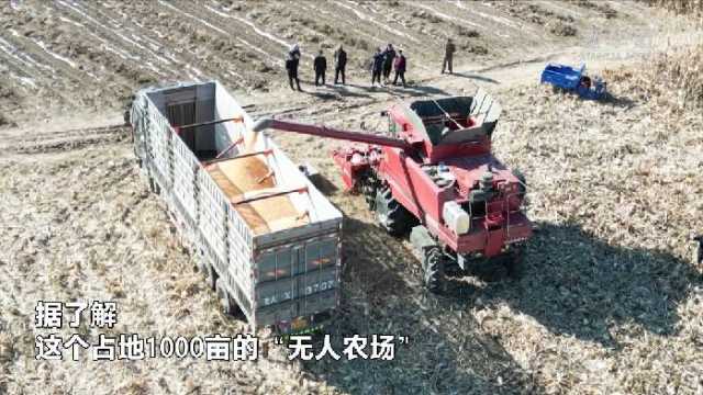 新华全媒+｜吉林：“无人农场”实现玉米无人自动收割