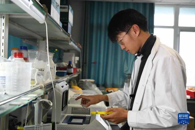 新华全媒+丨科技育种路 追梦不止步