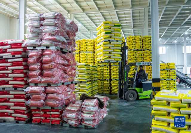 新华全媒+丨产粮第一大省为“中国饭碗”添米加饭