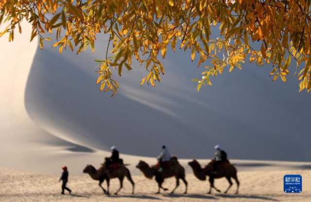 甘肃敦煌：秋色润鸣沙 月泉景如画
