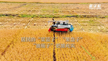 数说新时代｜主要农产品供给更加充裕 居民餐桌更加丰富