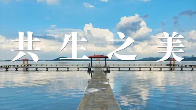 微视频丨共生之美 微视频丨共生之美