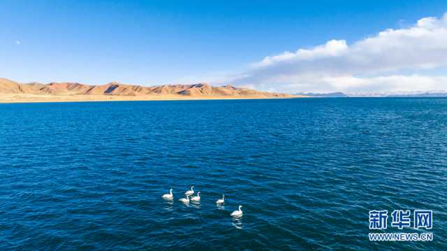【“飞阅”中国】冬格措纳湖冬景 空灵幽远如梦境