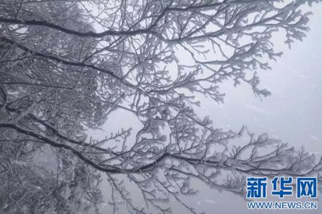 【“飞阅”中国】沉浸式赏雪 江西武功山初雪如约而至