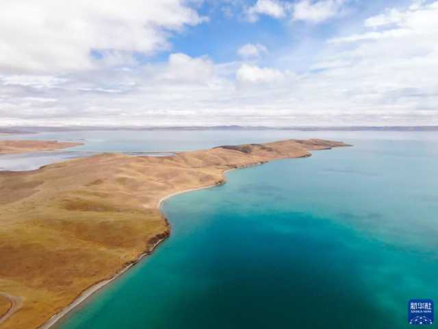 新时代新征程新伟业｜大河上下满目新——贯彻落实党的二十大精神加强黄河流域生态保护观察