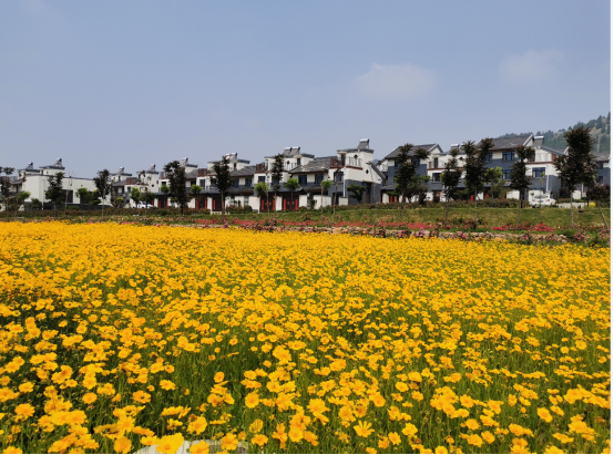 曲阜获省级“绿水青山就是金山银山”实践创新基地称号