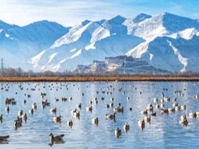 生态优先 拉萨构建水城相融生态格局