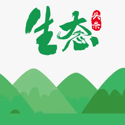 大学物理教学信息化探讨与实践