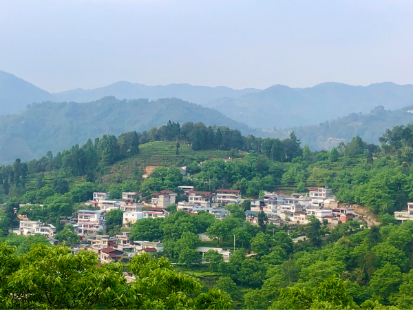 云南临沧安石村：“六园共建”村民倍享