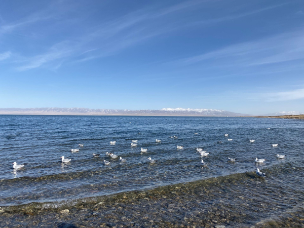 青海湟水数字孪生流域先行先试项目建设