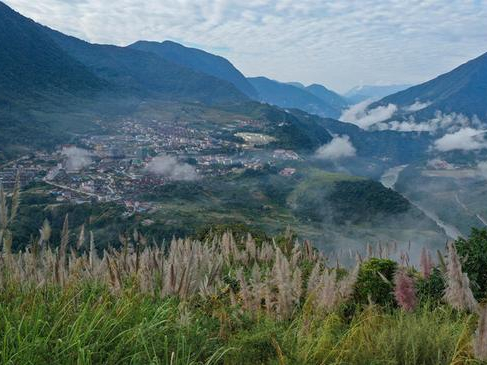 中国环境报快讯丨青藏高原生态保护法草